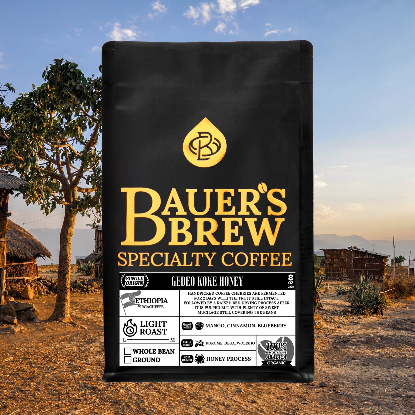 
                  
                    the Explore Bundle - Bauer's Brew
                  
                