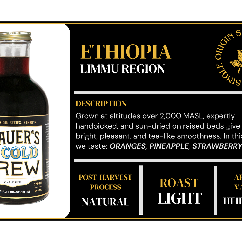 
                  
                    ETHIOPIA COLD BREW - Bauer's Brew
                  
                
